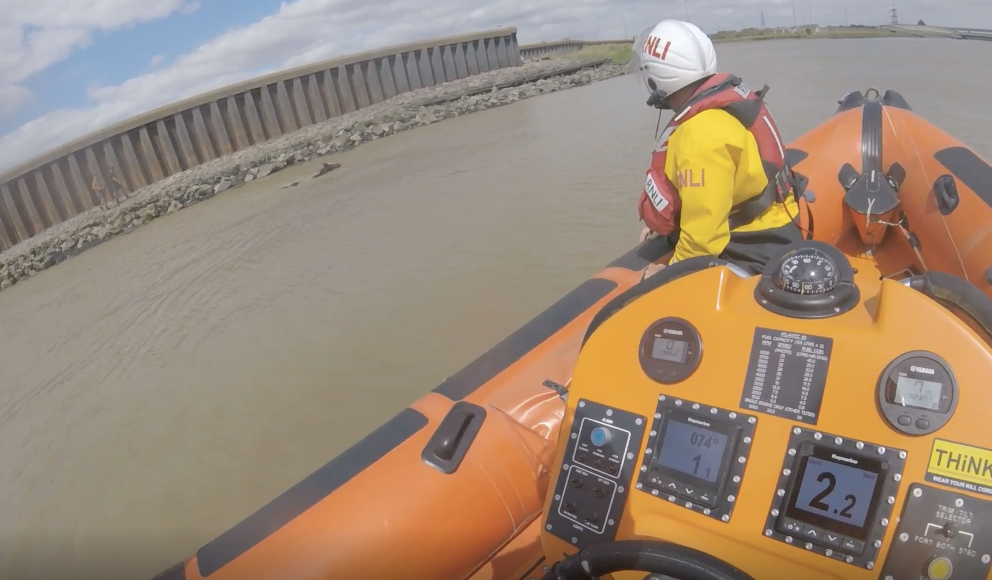 Gravesend RNLI lifeboat encourage black horse to shore