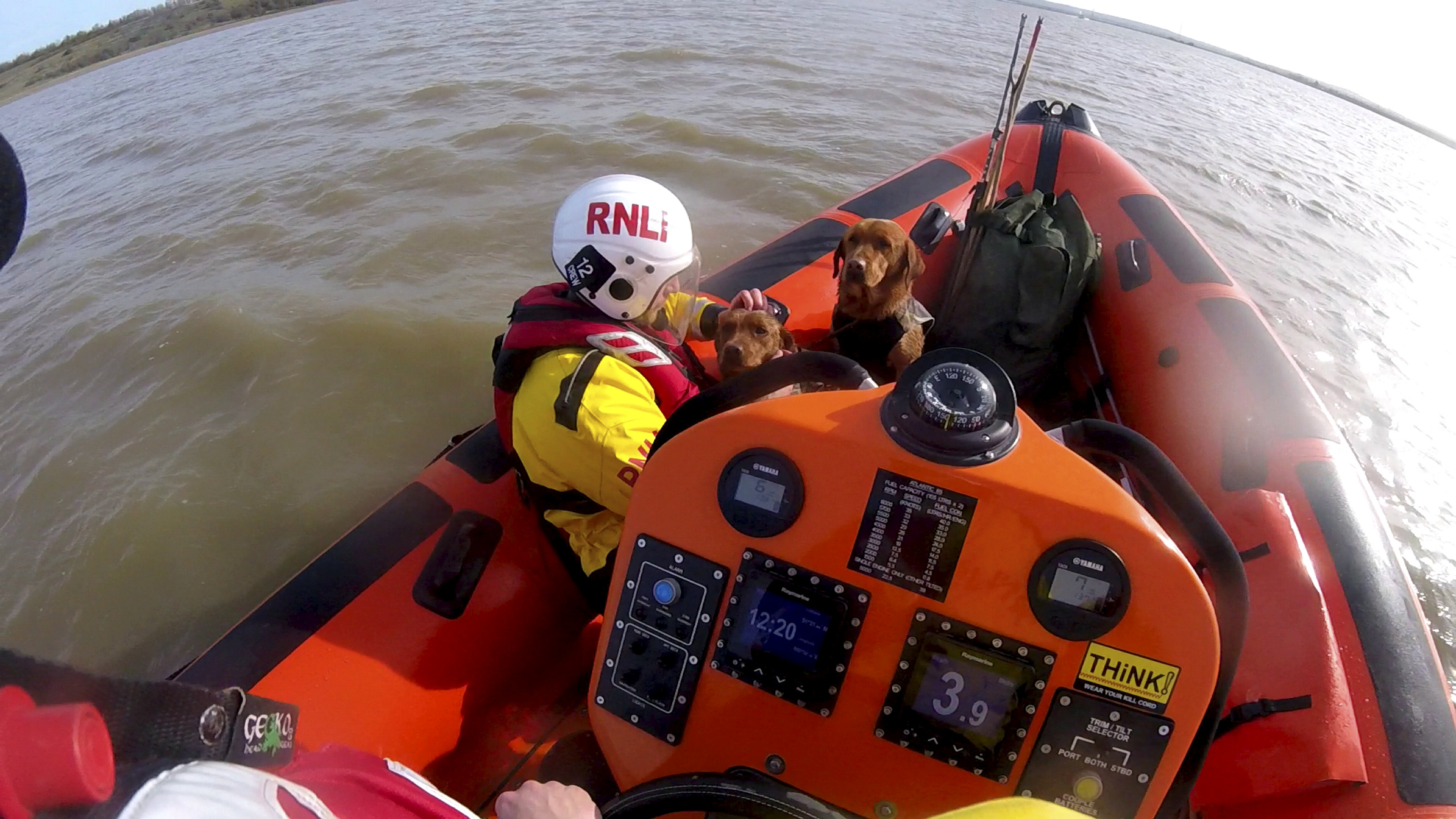 :Two dogs get an unexpected ride in the Whitstable lifeboat after they and their owners were assisted after being cut off by the tide at Harty, Isle of Sheppey on Tuesday afternoon