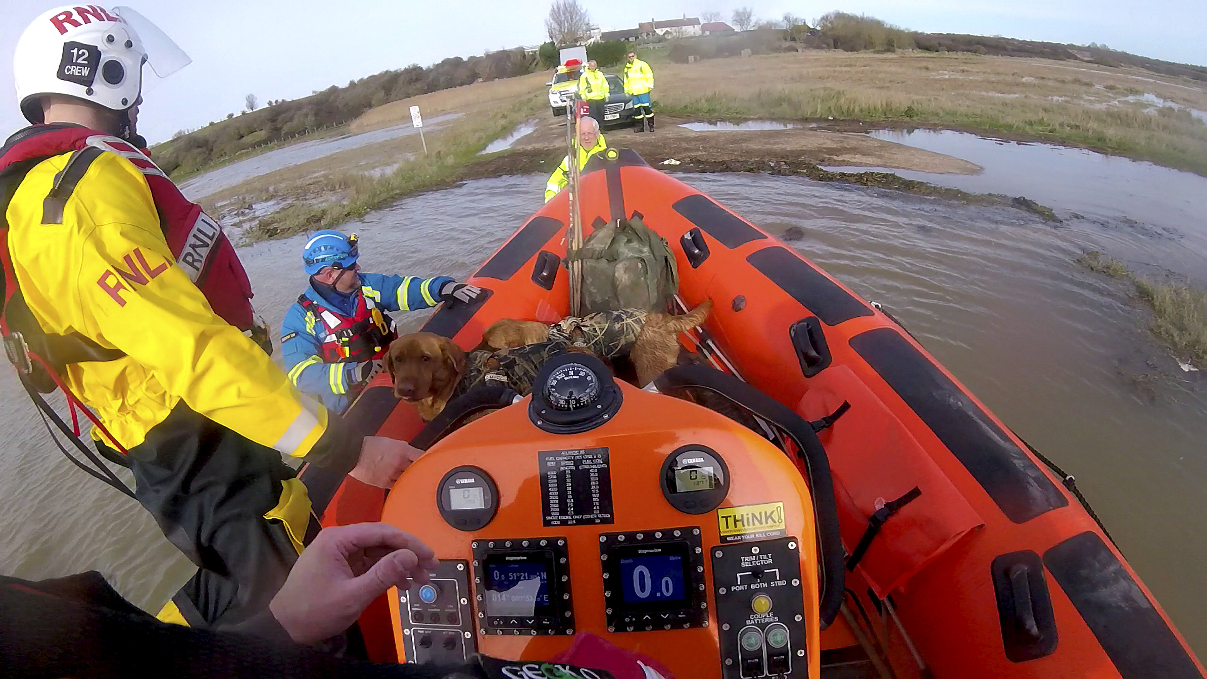 The two dogs wait to be landed ashore into the care of the Sheppey Coastguard at Harty, Isle of Sheppey on Tuesday afternoon.