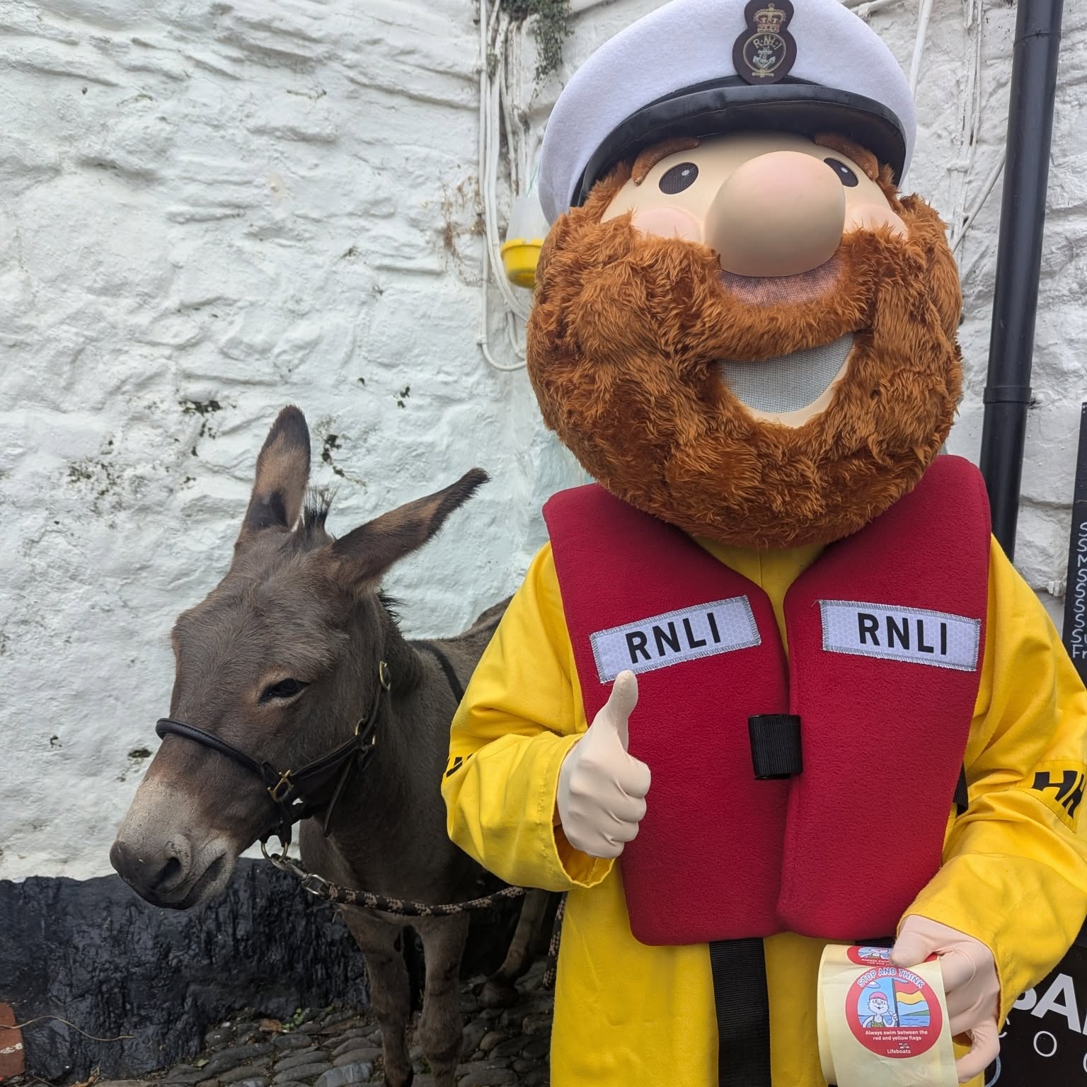 Lifeboat mascot Stormy Stan poses with a donkey