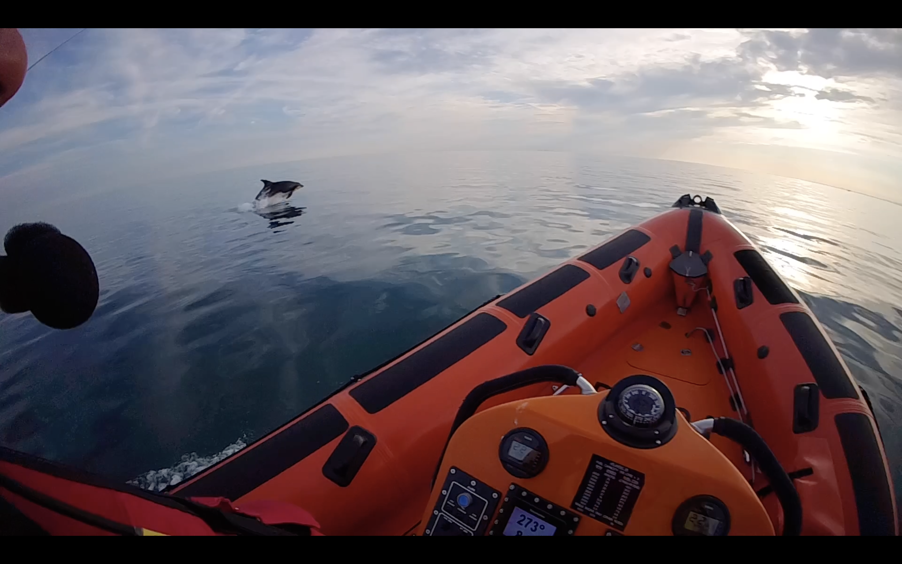 A dolphin leaps out of a calm sea next to a lifeboat