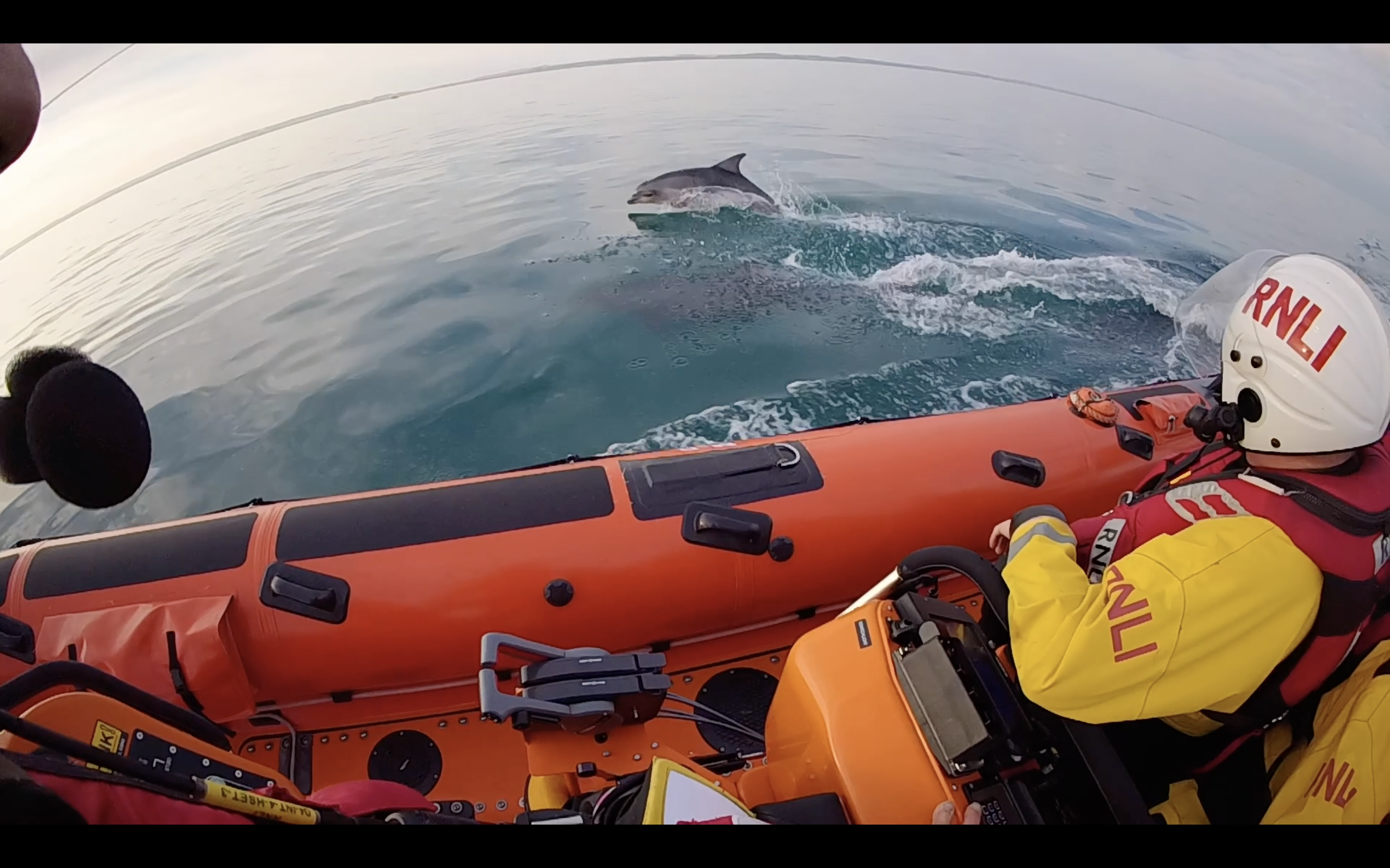 A dolphin leaps as crew member Ian Kirkham watches