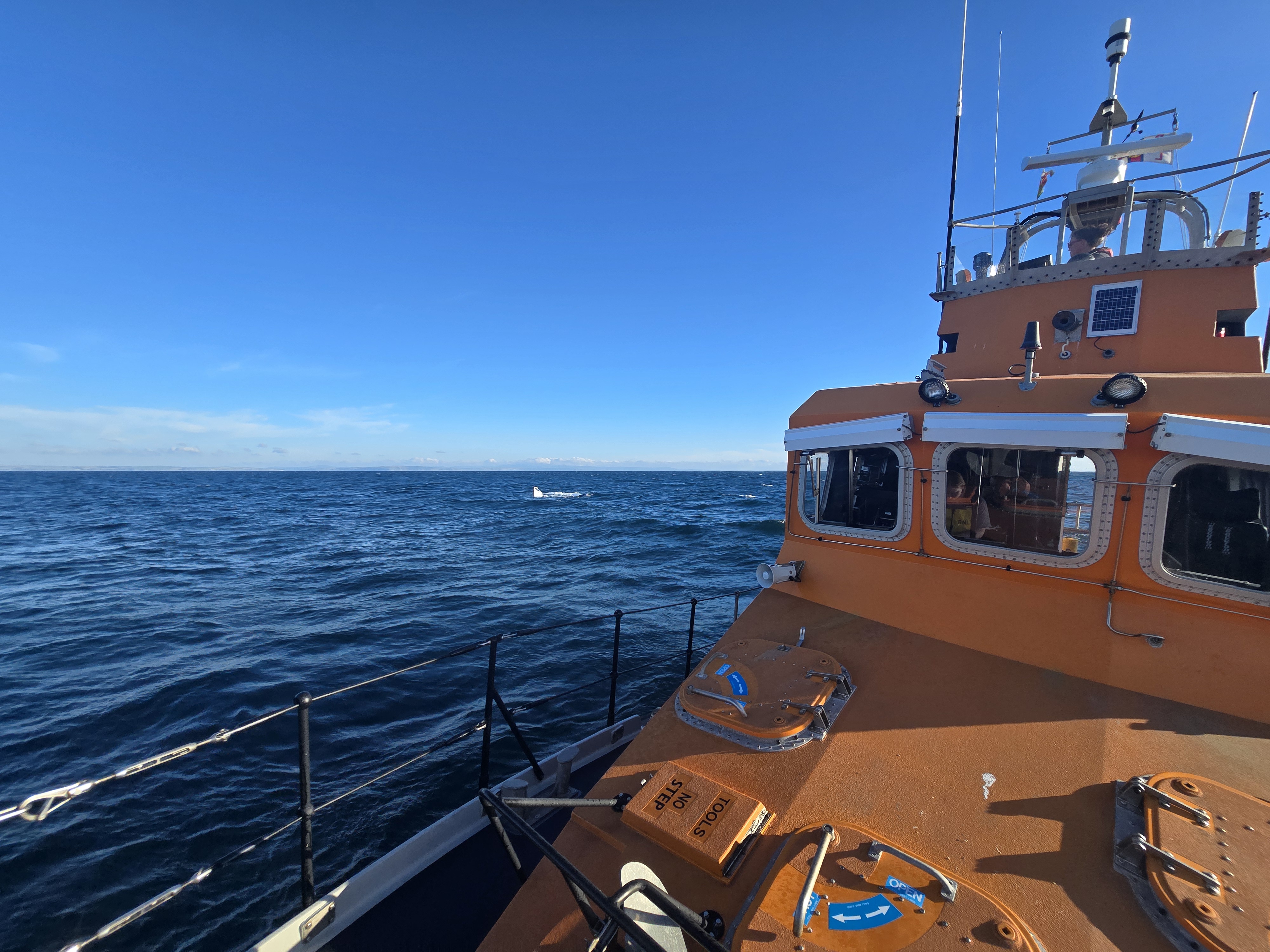 Fishguard lifeboat Blue Peter VII with the aircraft. 