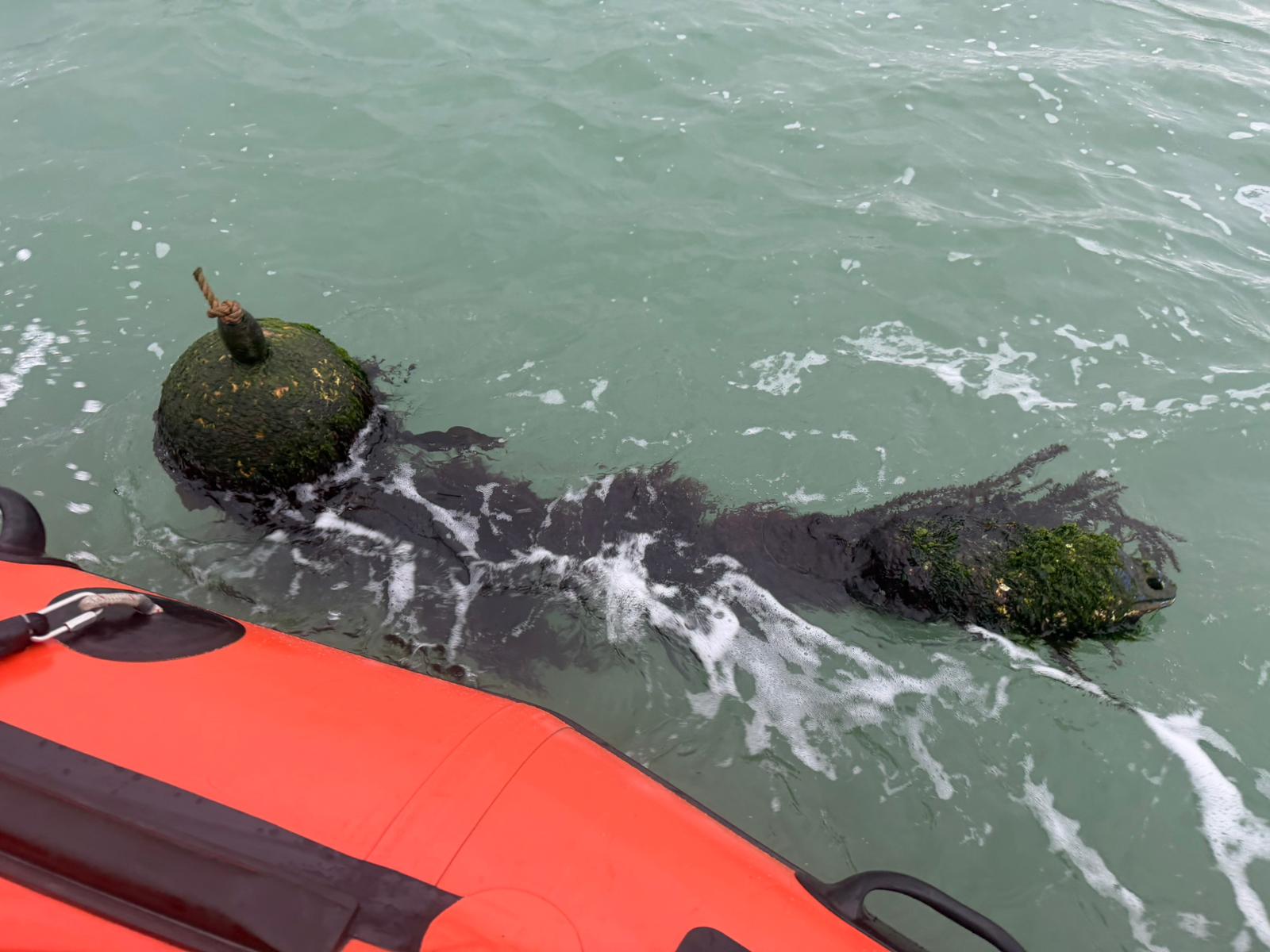 Pot marker covered with seaweed