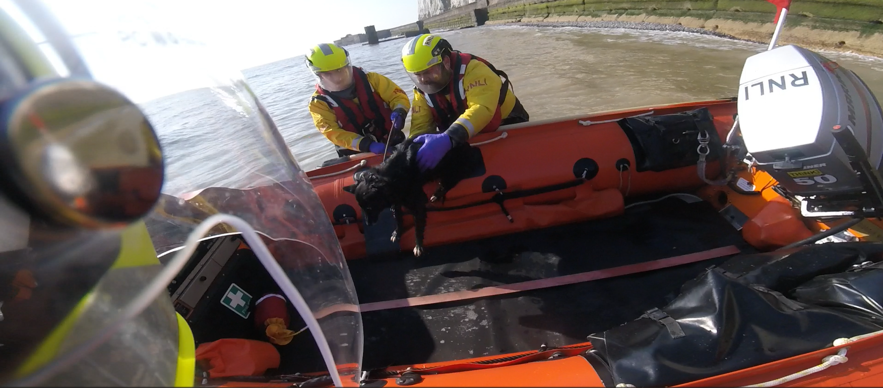 Rescued dog safe in lifeboat