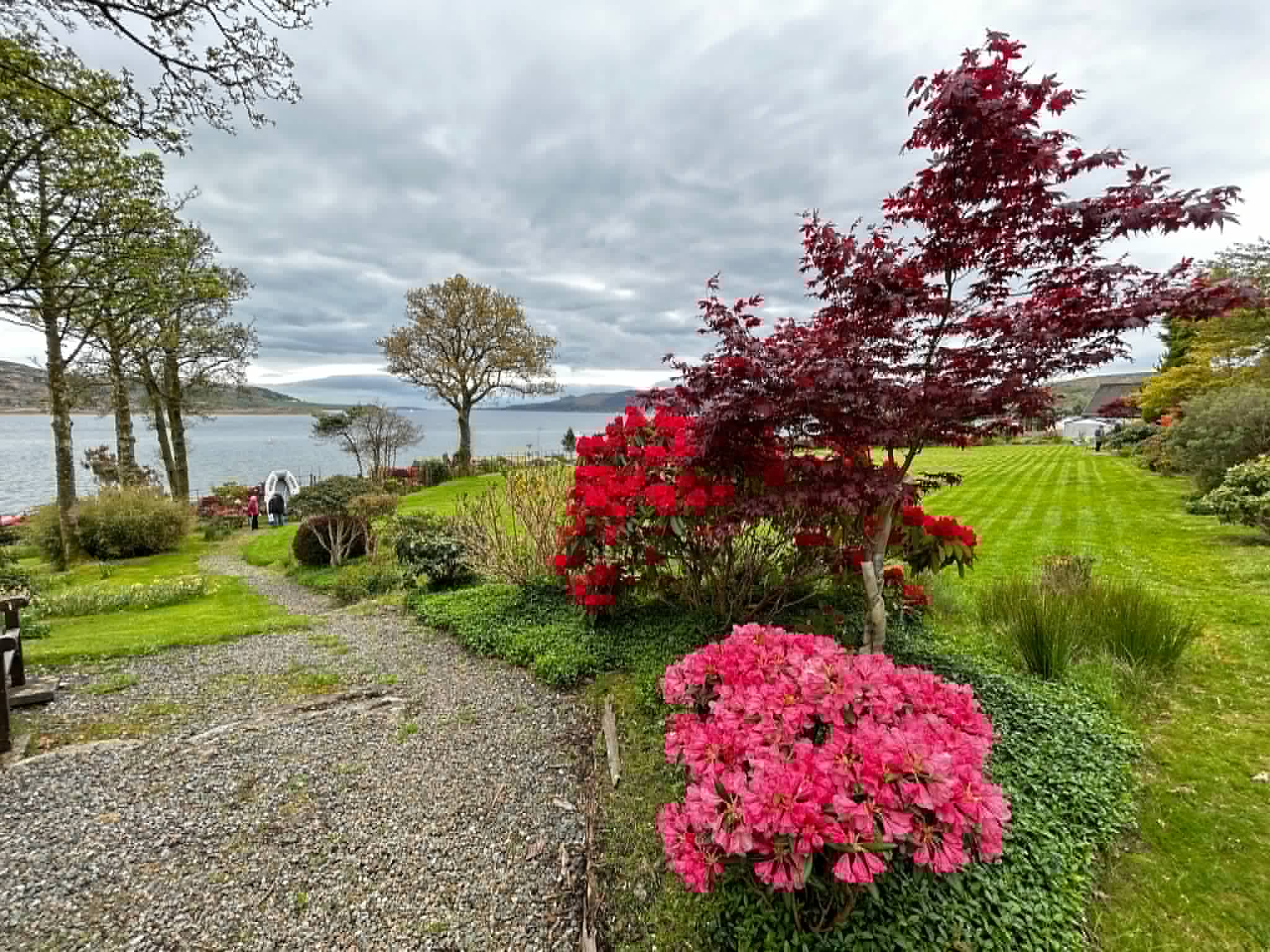 Vibrant blooms in one of the open gardens