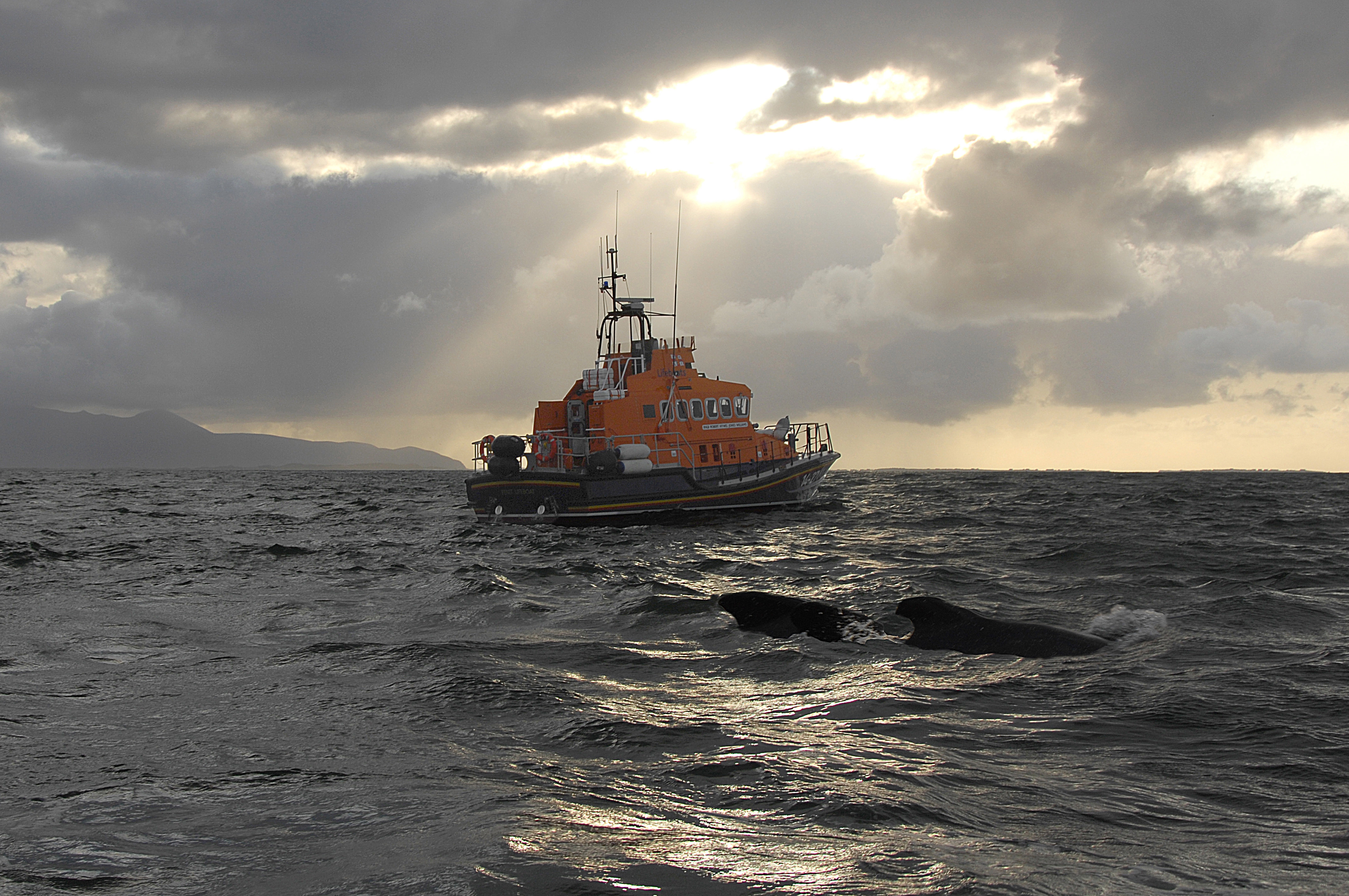 Fenit lifeboat
