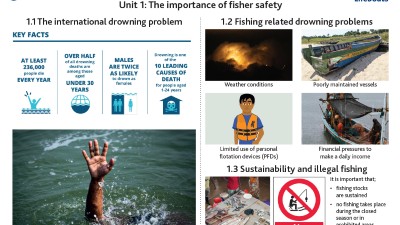 Fishing Safety Flash Cards