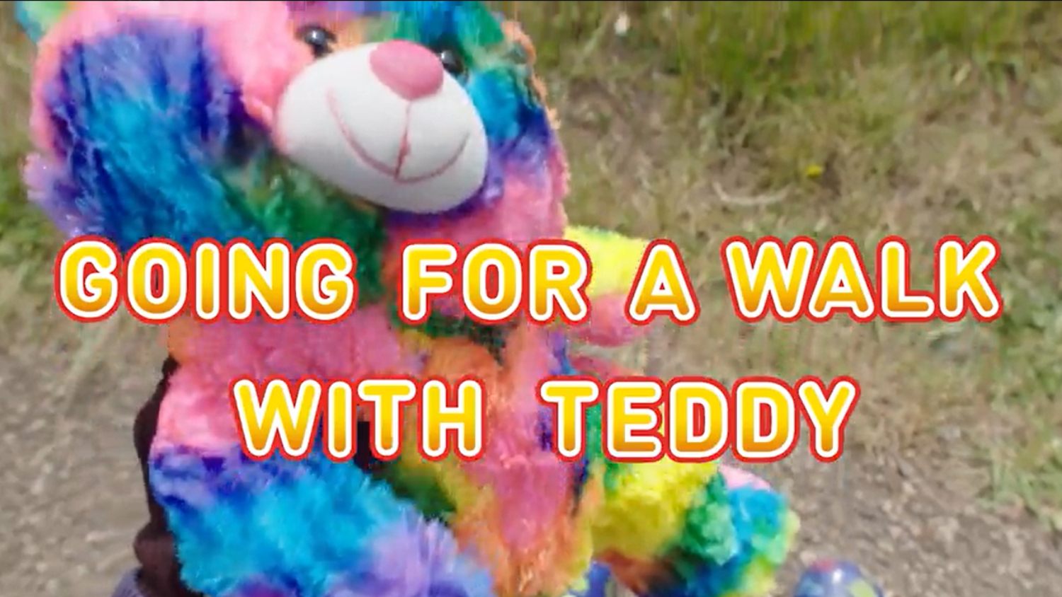 Going for a walk with Teddy