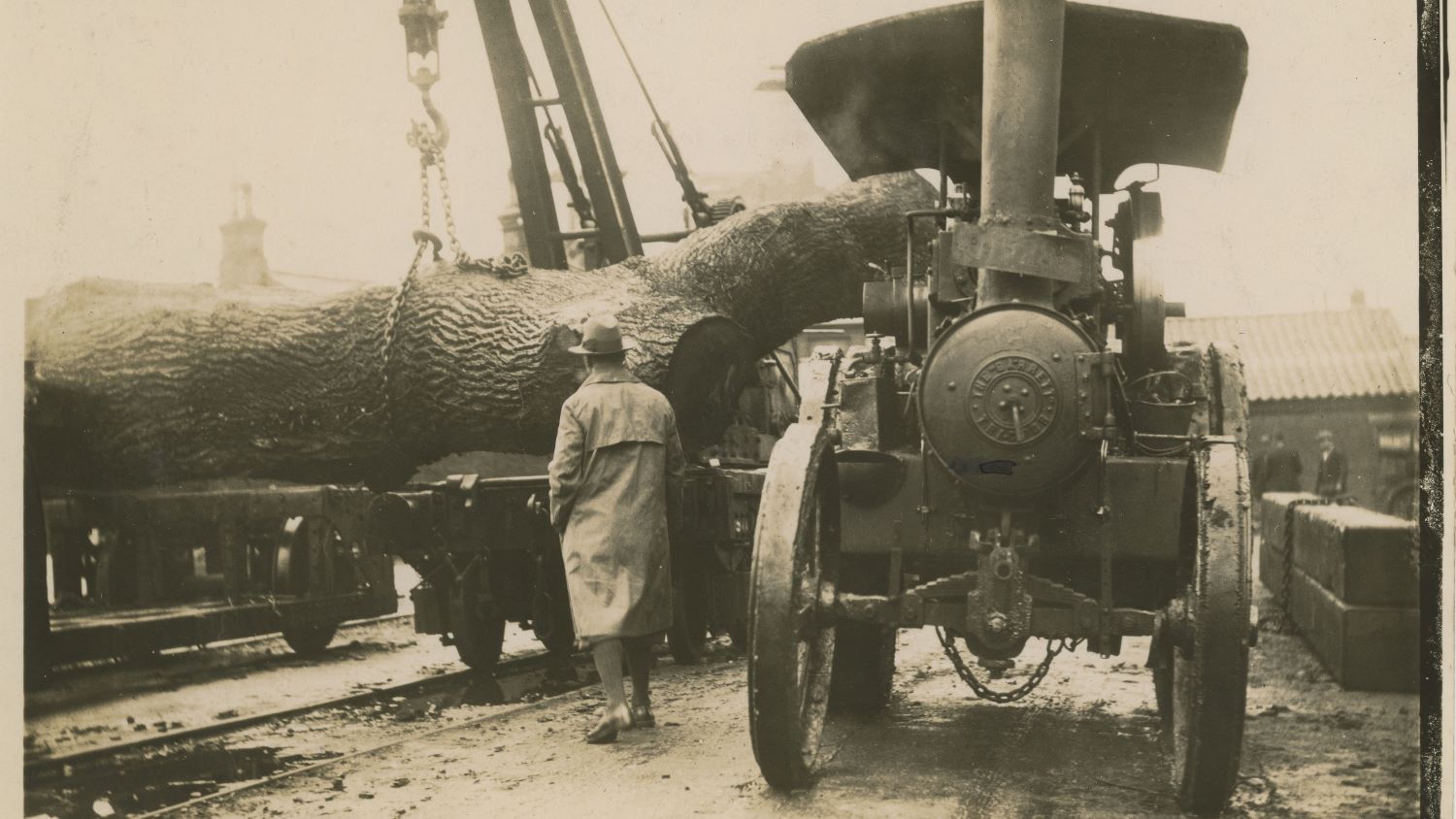 Black and white image of oak being unloaded by crane with traction engine alongside