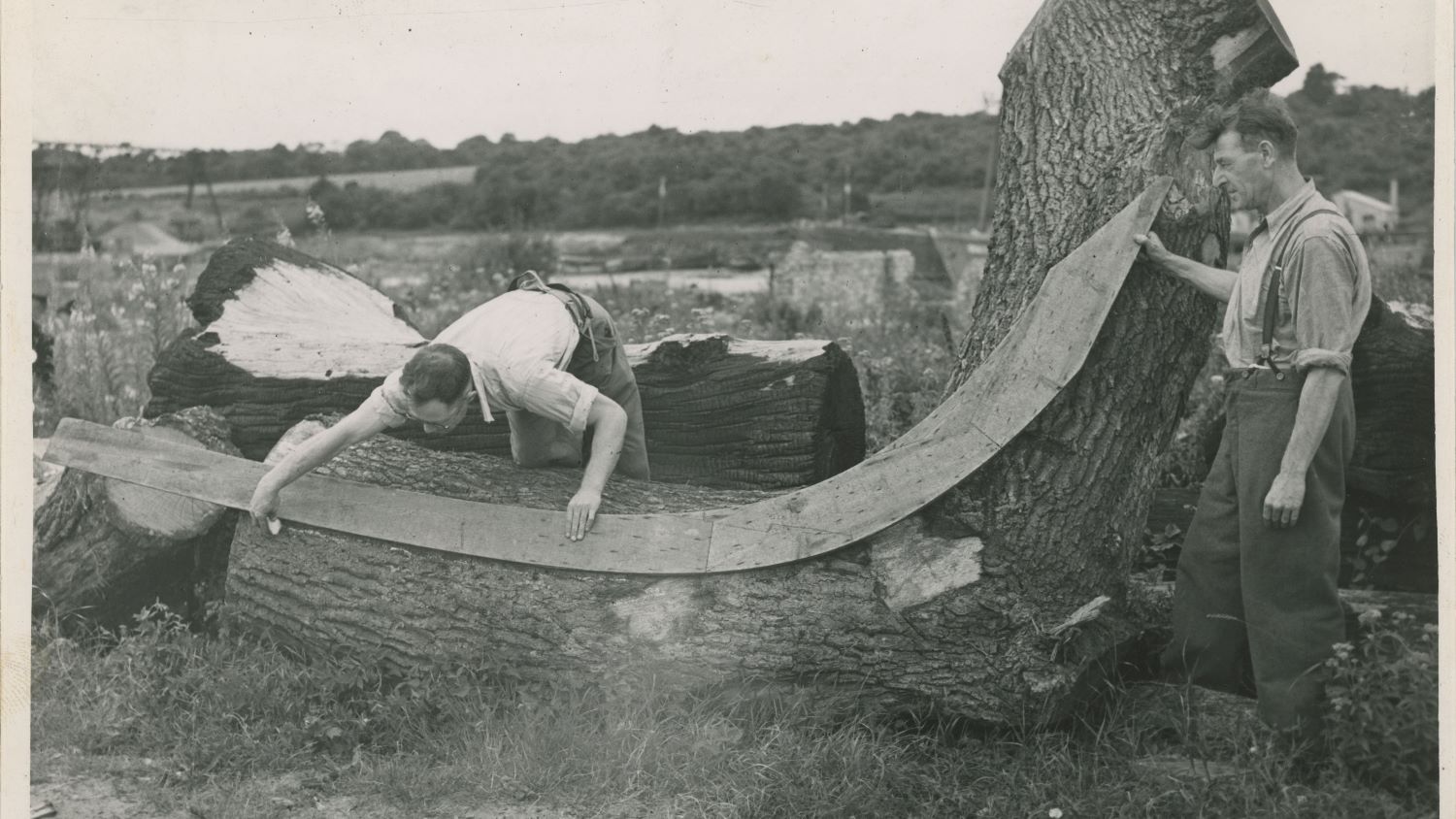 Black and white image of two men selecting timber from large trunk