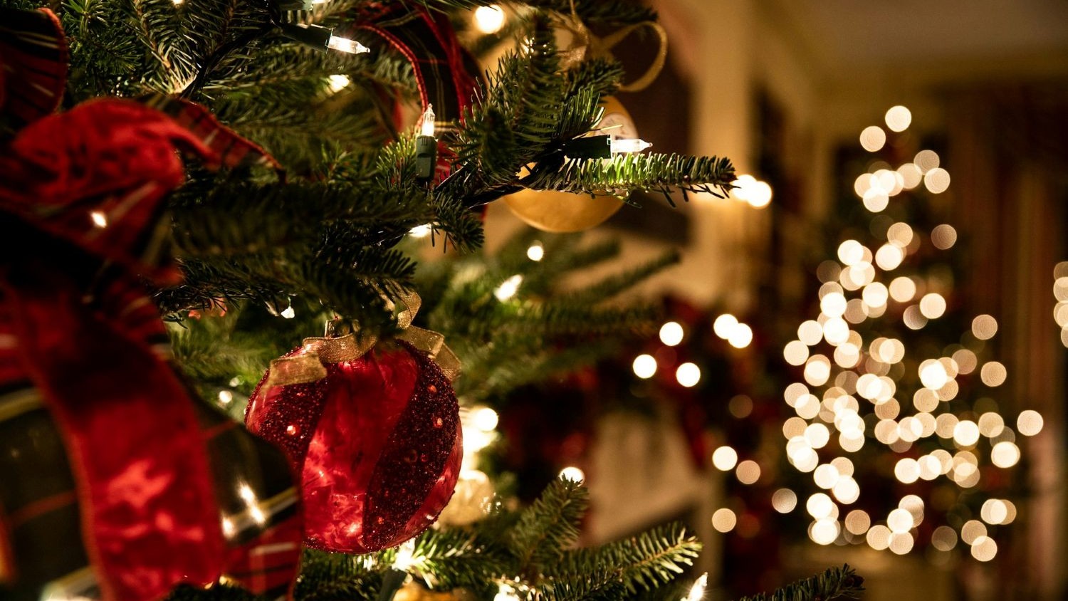 Christmas tree with red bows and baubles and white lights.