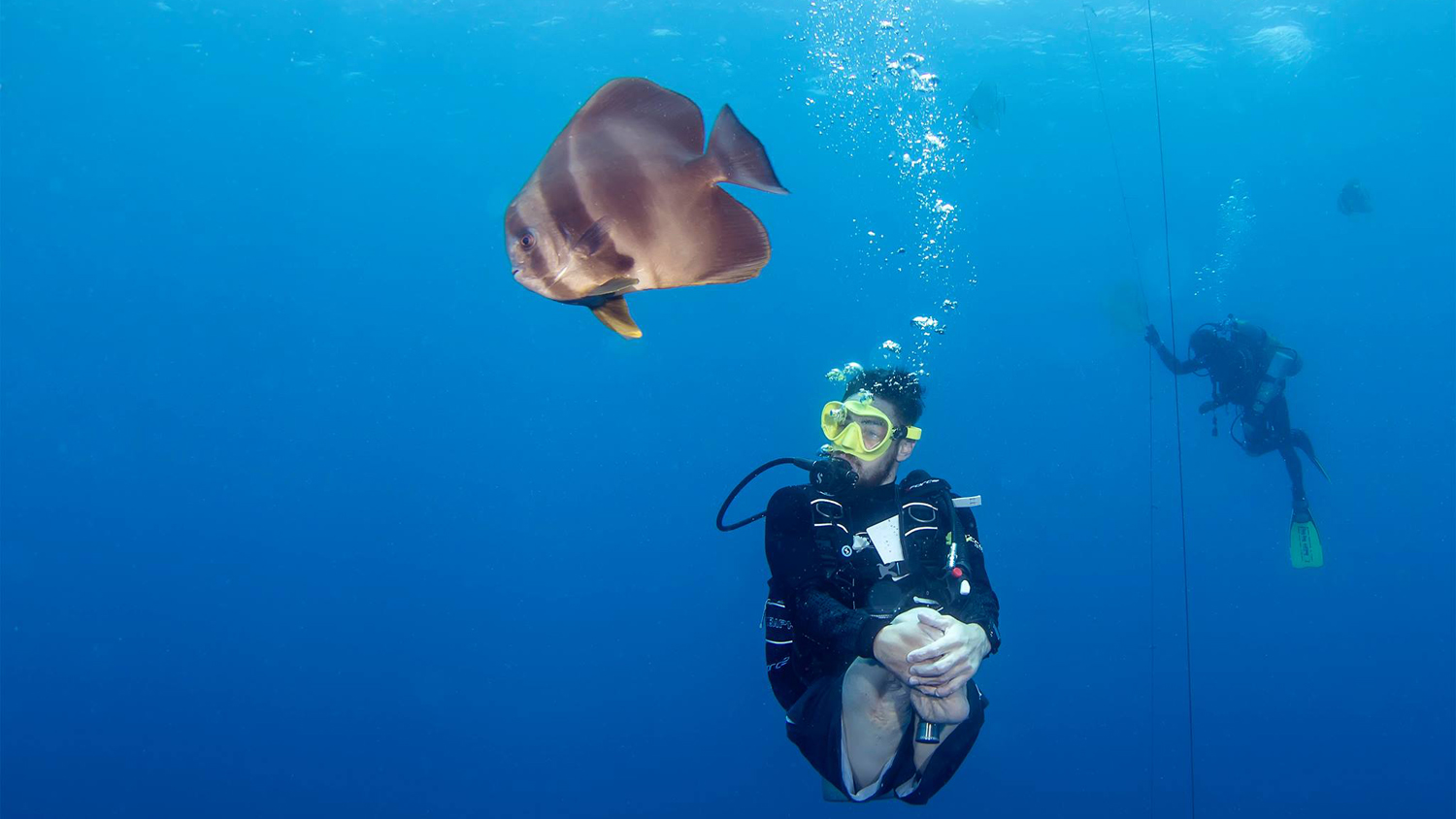 Diving with Deptherapy