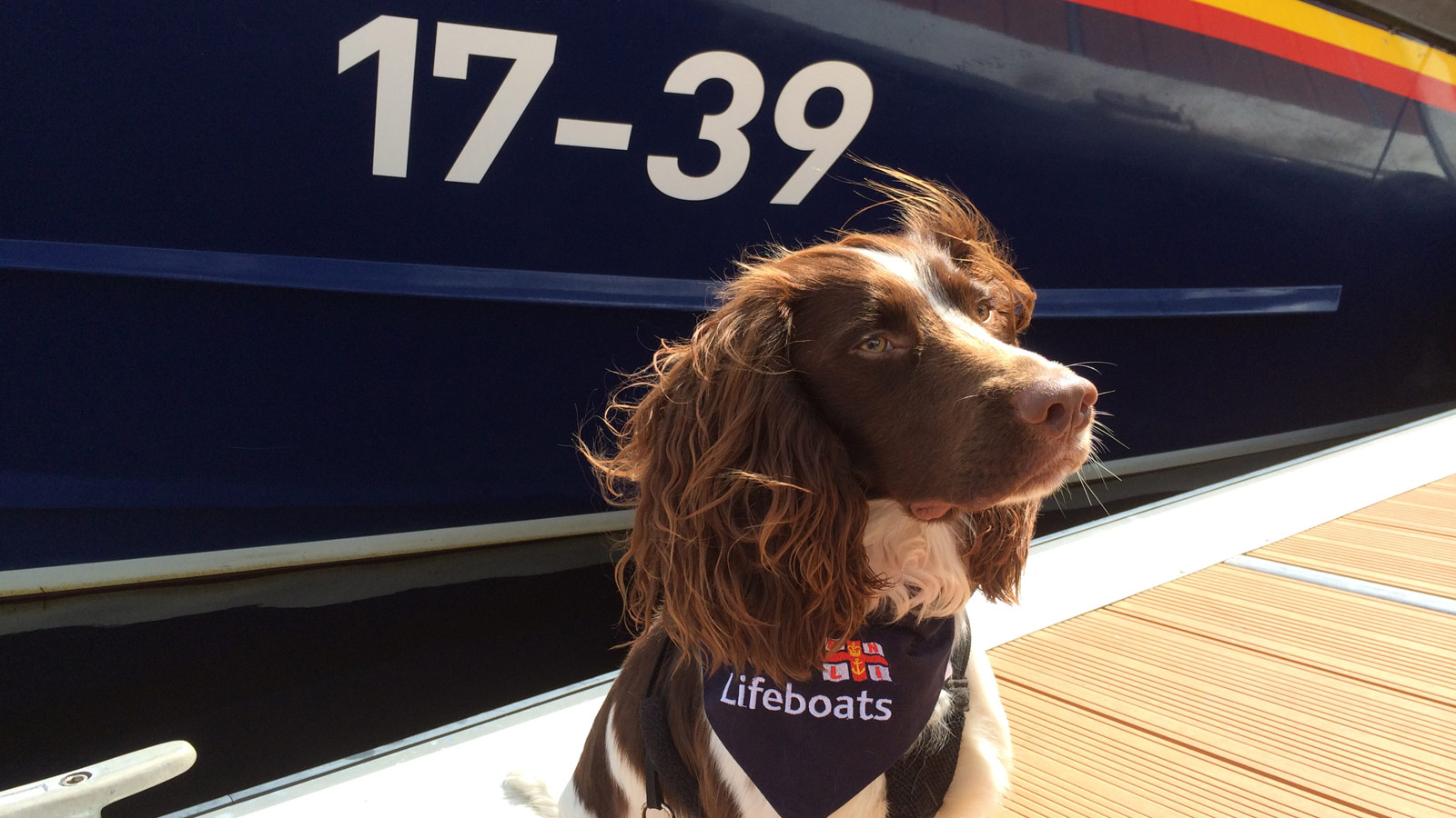 Diesel at Tobermory Lifeboat Station