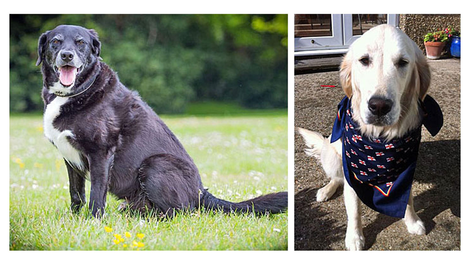 Mickey and Maisie at Cowes Lifeboat Station