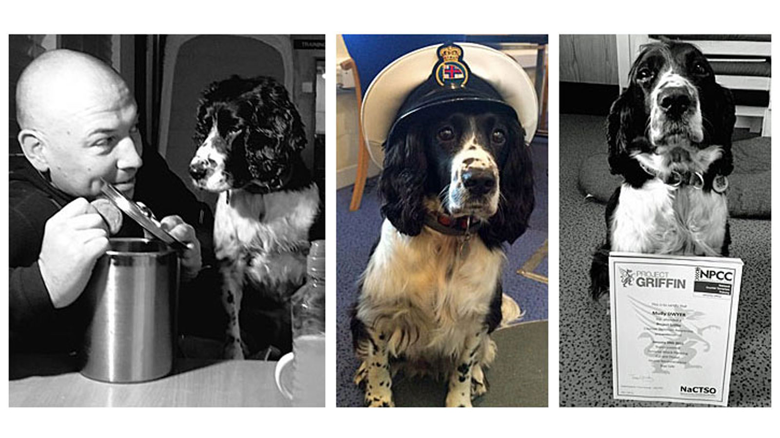 Molly at Tower Lifeboat Station