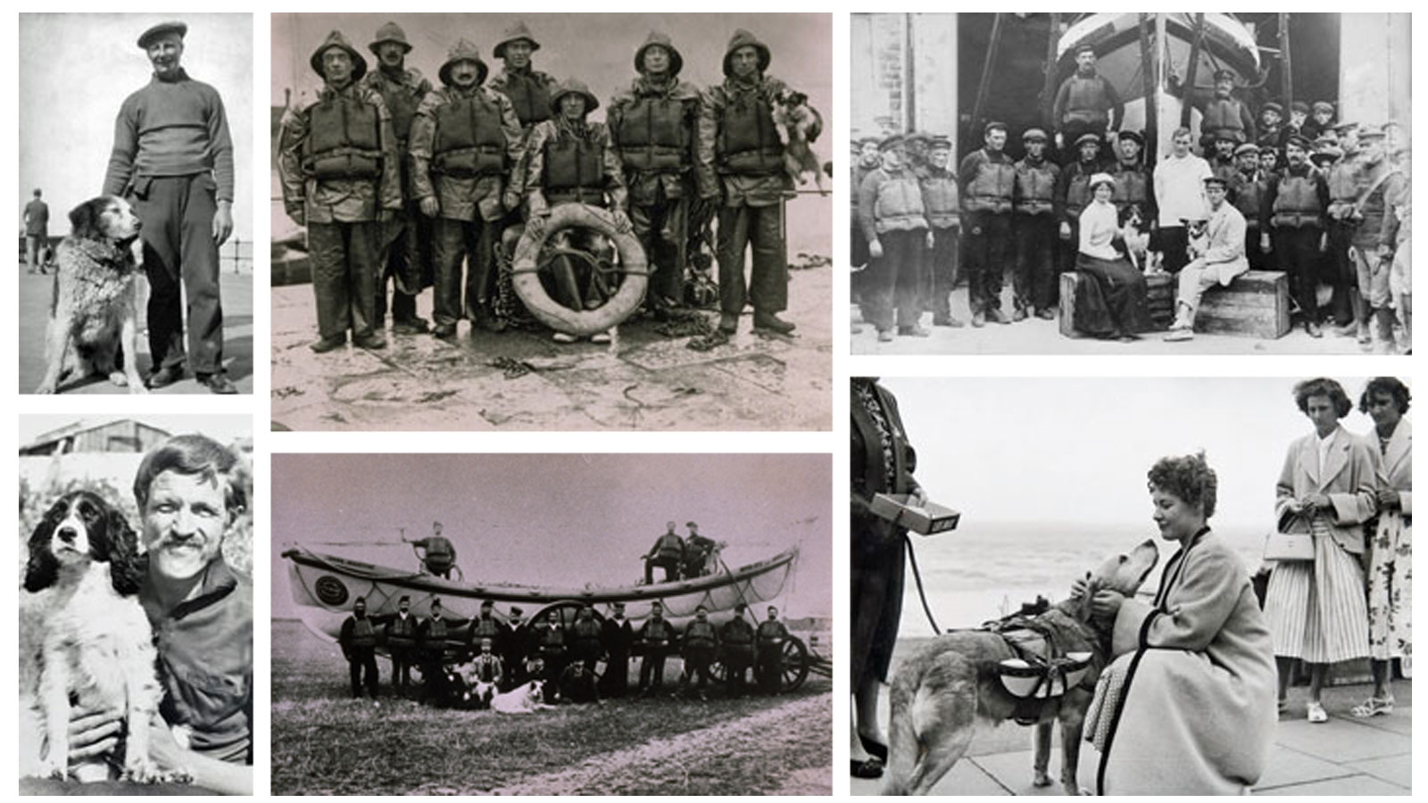 Montage of lifeboat dogs