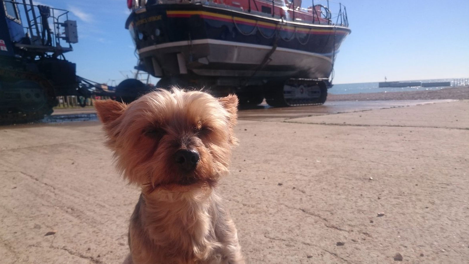 Mr Pickles at Hastings Lifeboat Station