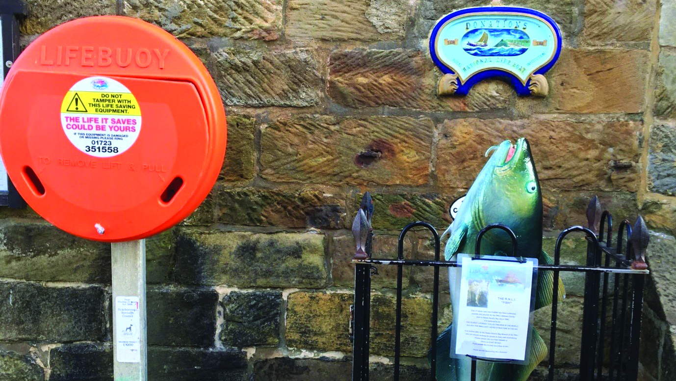 The RNLI Fish