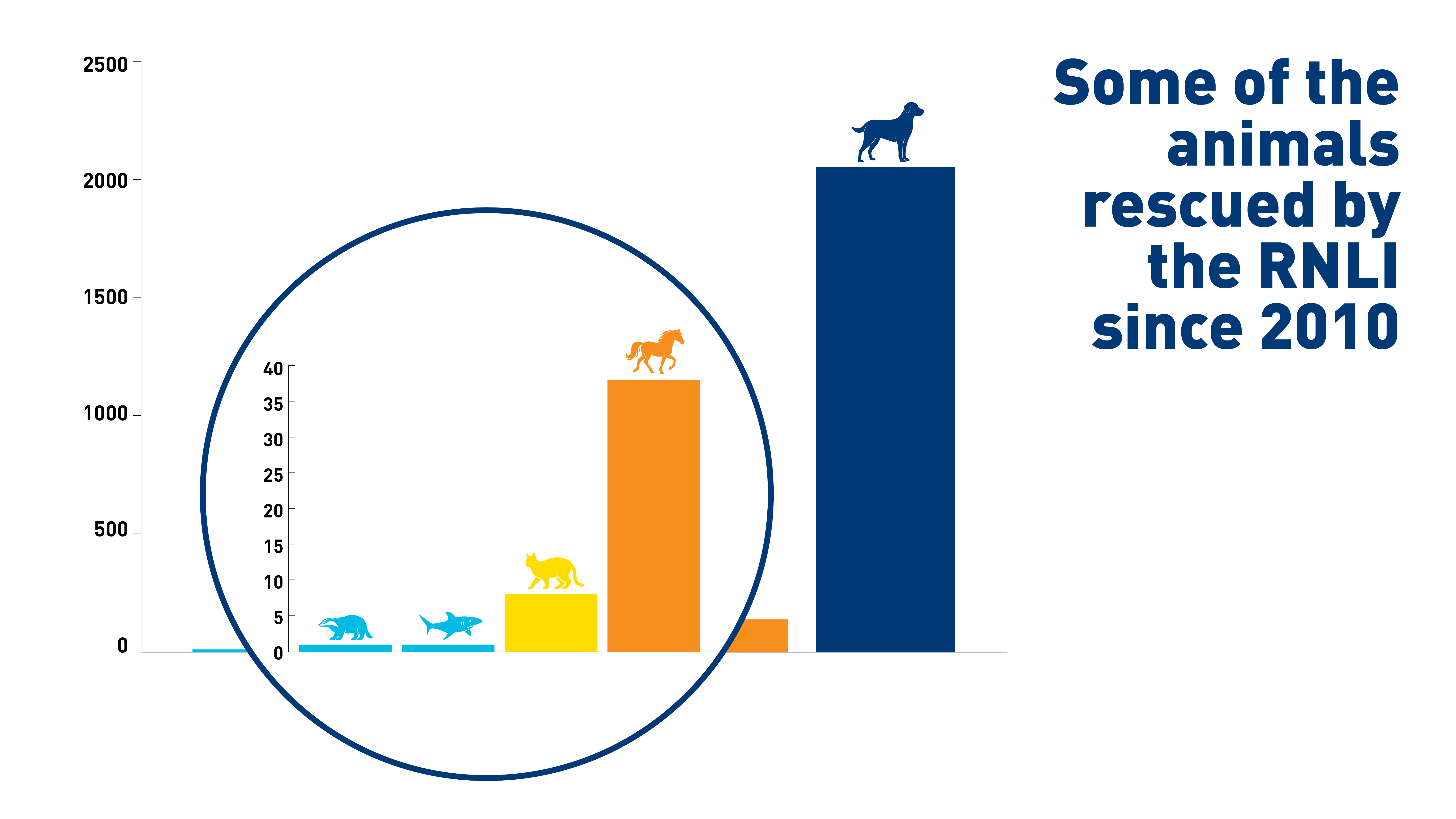 A graph showing some of the animals rescued by the RNLI since 2010 – including badgers, sharks, cats, horses and dogs.