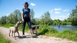 A woman walking her two dogs safely along a riverbank. Credit: RNLI/Nathan Williams