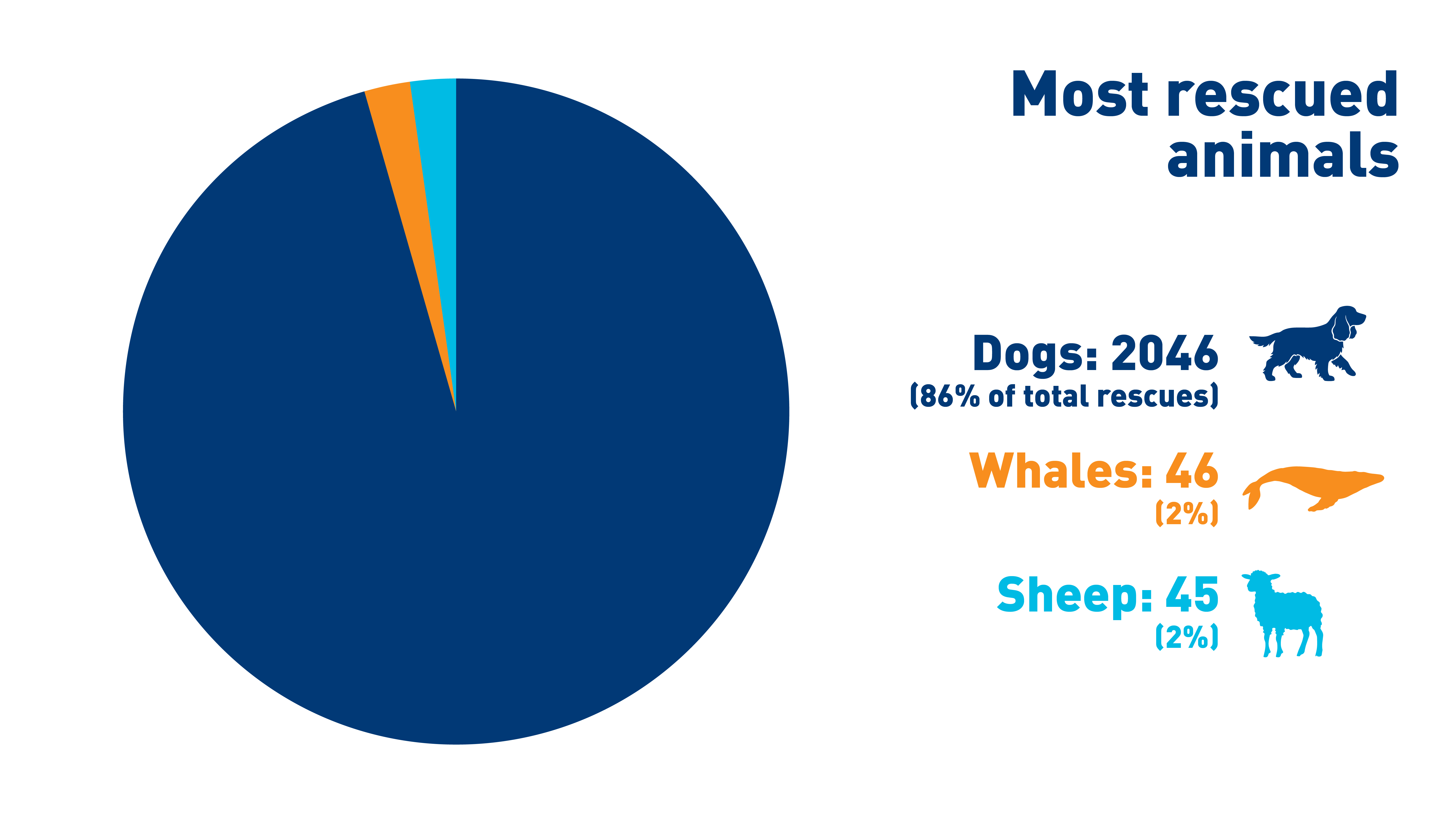 A pie chart, showing the most rescued animals: 86% were dogs, 2% were whales and 2% were sheep.