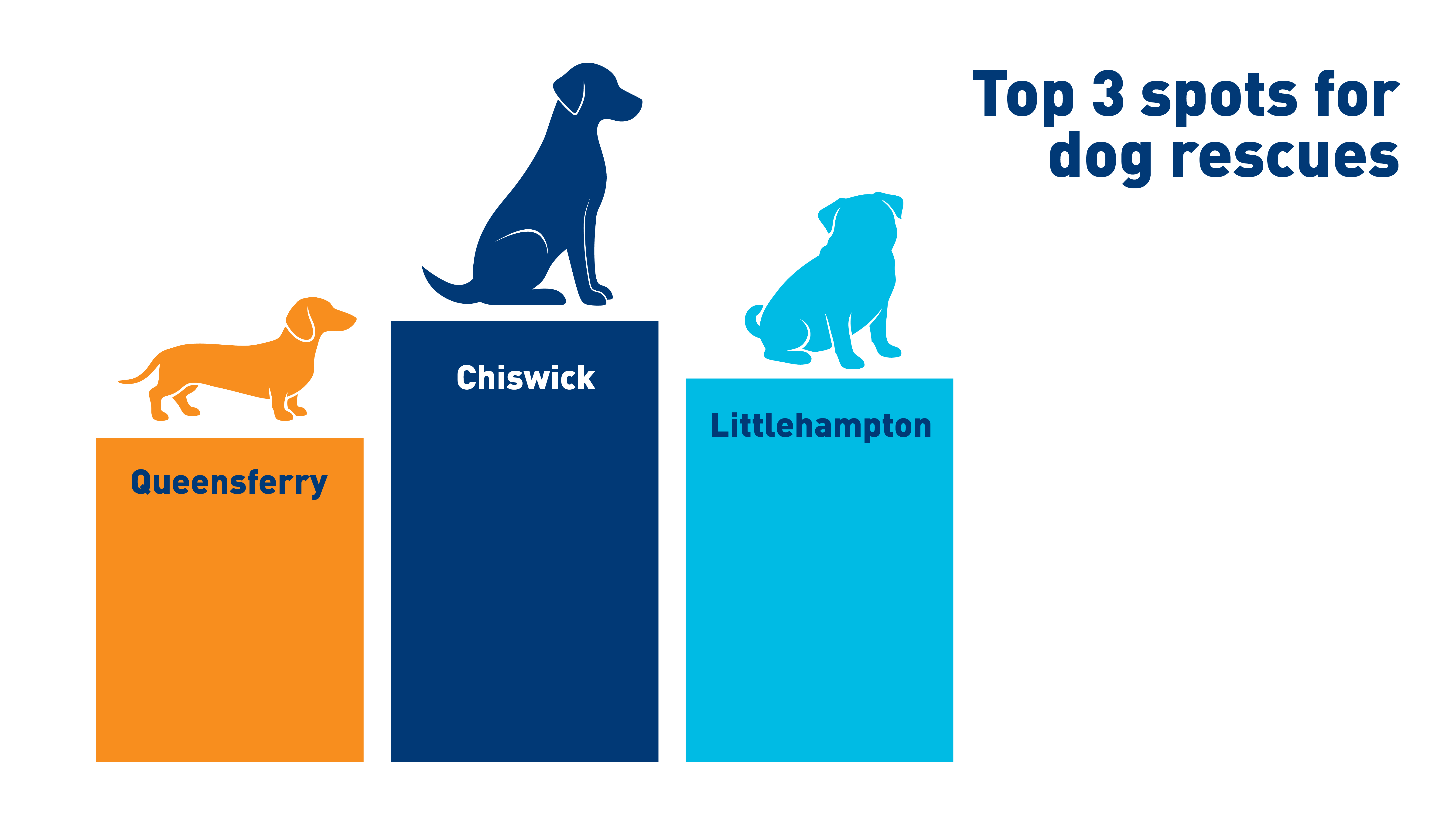 A bar chart, showing the three top spots for dog rescues: Chiswick, followed by Littlehampton, and then Queensferry.